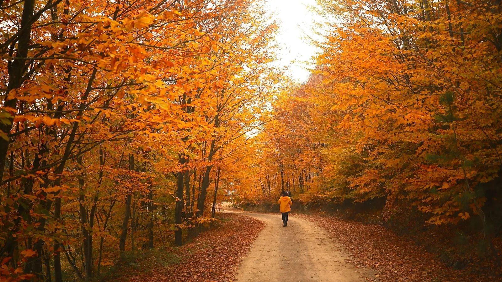 For Every Season: A Journey of Belonging