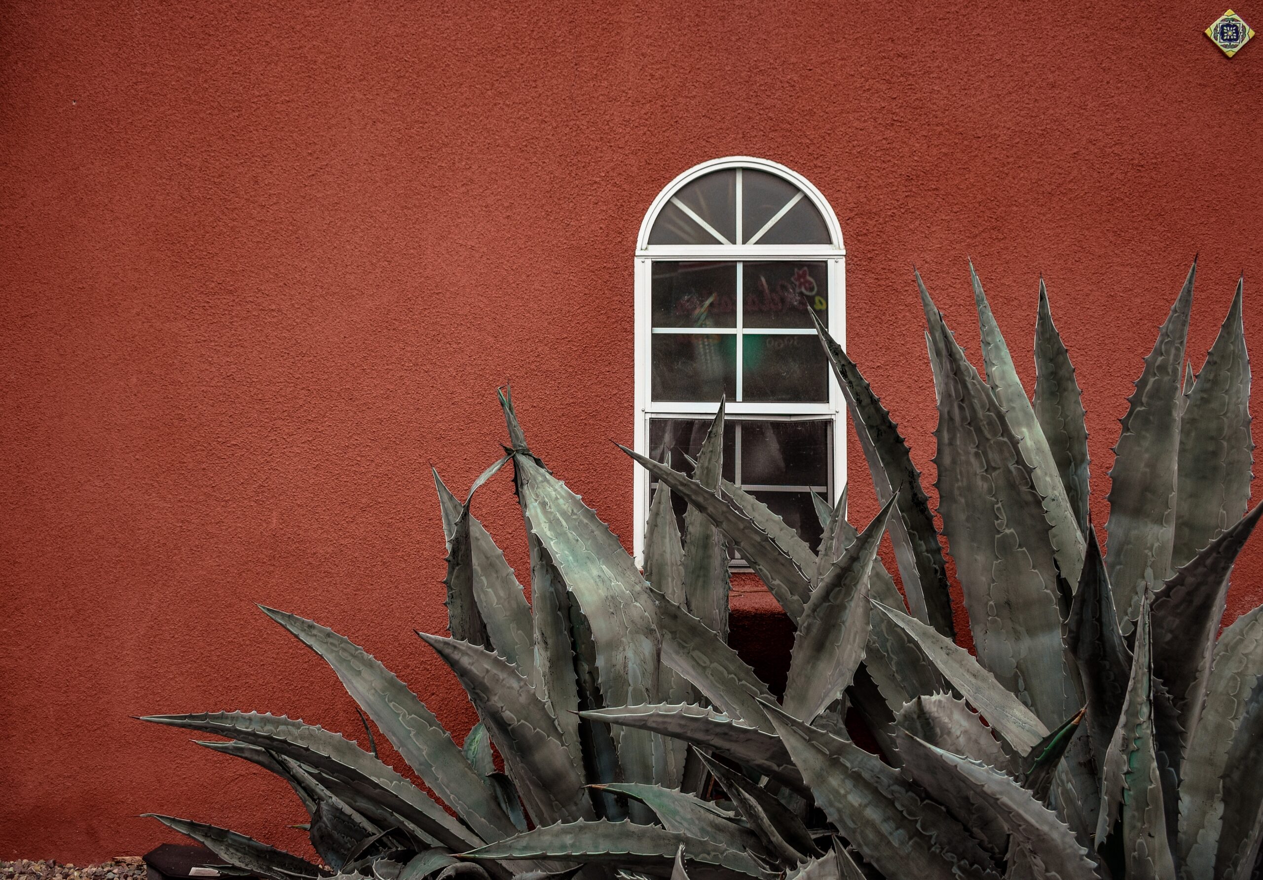 Why Working With a Licensed Real Estate Agent in Guanajuato Actually Matters