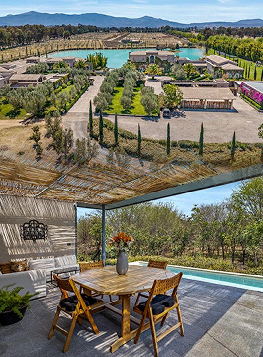 Vineyard living in San Miguel de Allende