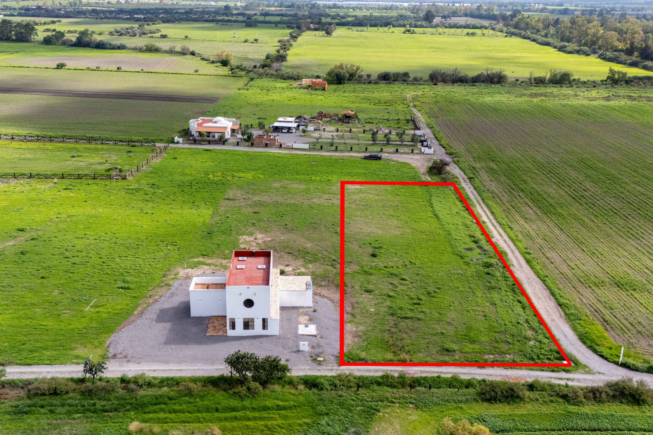 Lote Magnolia